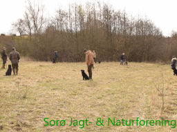 Hundetræning forår 2017